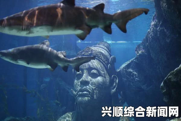 最早动物礁石被发现，揭秘距今5.48亿年前的动物起源