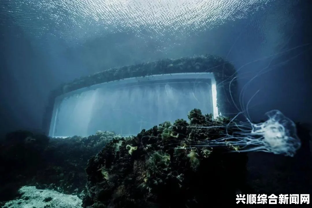 最早动物礁石被发现，揭秘距今5.48亿年前的动物起源