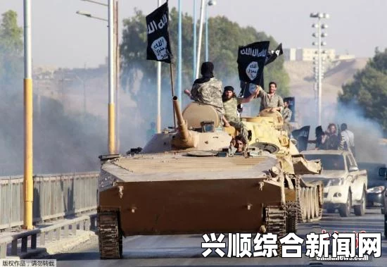 伊拉克极端组织（ISIL）宣布建国，全球安全局势面临严峻挑战