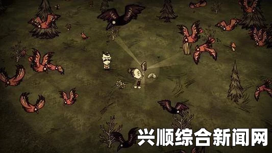 饥荒拖网回收步骤全面解析