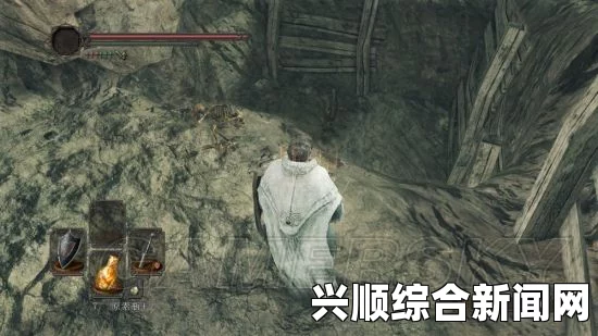 黑暗之魂2原罪学者，扎恩与雷姆人物剧情的深度分析
