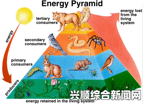 人类黎明，小人喂羊吃小麦的饲养策略与指南
