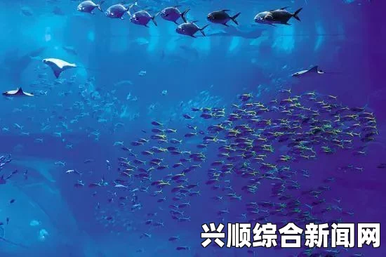 深海迷航，保罗托加尔的命运如何？