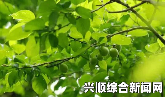 美国介入红海行动，航母与F-22战机联手空袭叙利亚ISIS