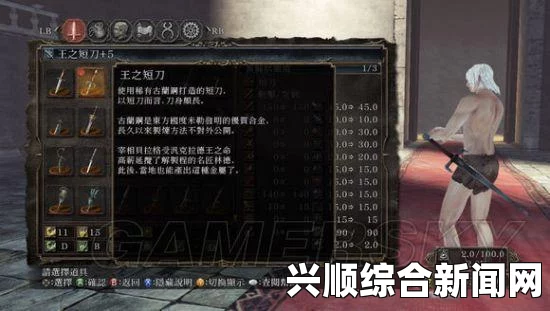 黑暗之魂2原罪学者出血武器深度解析与使用技巧分享