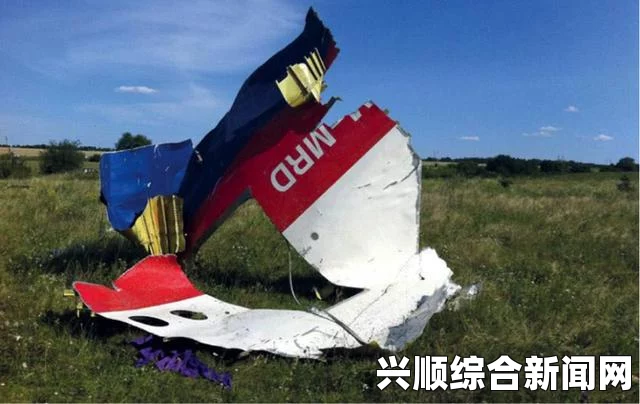 俄媒报道，马航MH17客机遭恐怖分子使用BUK导弹击落