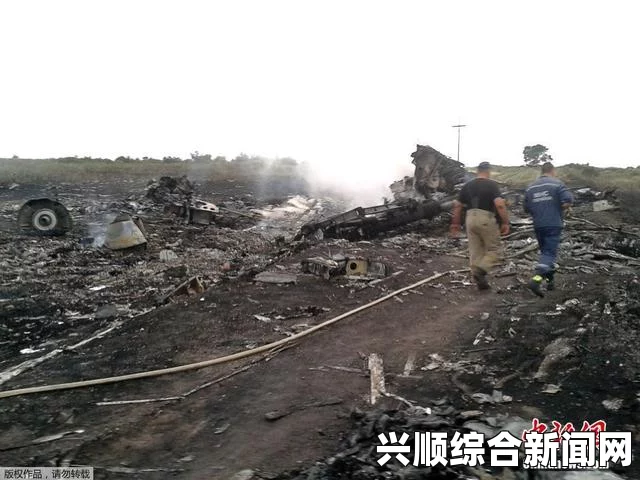 马航MH17客机在俄罗斯乌克兰边境被击落事件详述