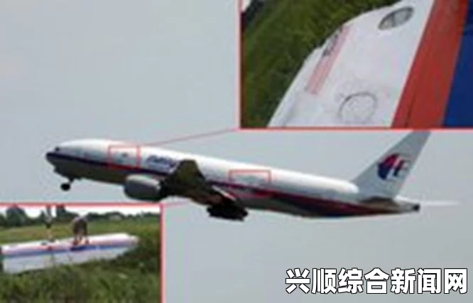 马航MH17客机黑匣子送往俄罗斯，揭秘山毛榉导弹击落真相