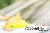 LOL丧尸克星头像获取攻略