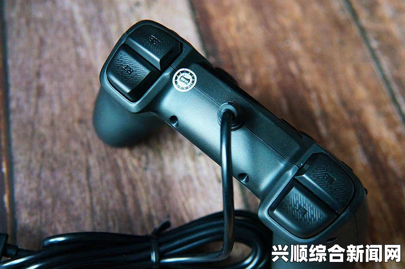 讨鬼传极手柄全兼容补丁及手柄支持工具使用方法