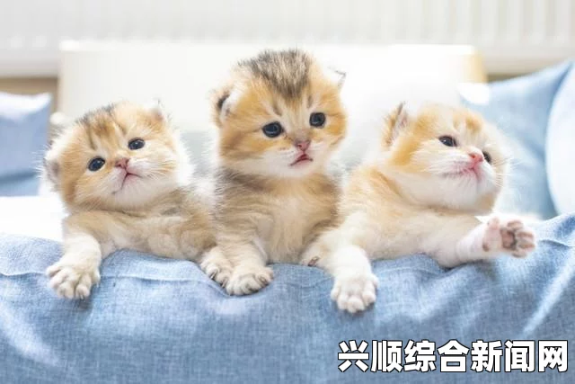 人类黎明时期动物的角色与影响