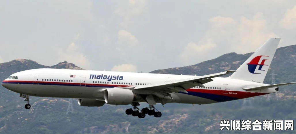 日本就马航MH17遭击坠毁事件对俄罗斯追加制裁