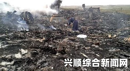 日本就马航MH17遭击坠毁事件对俄罗斯追加制裁