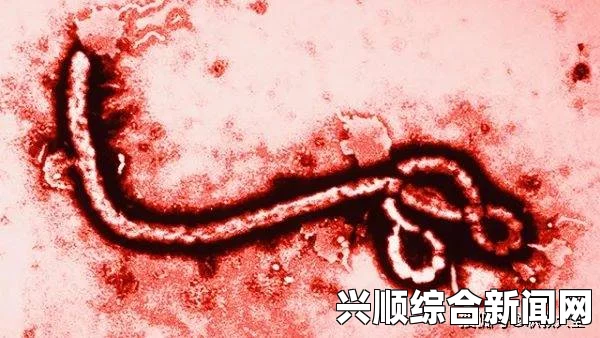 埃博拉病毒肆虐引发全球危机，应对感染人数激增的严峻形势