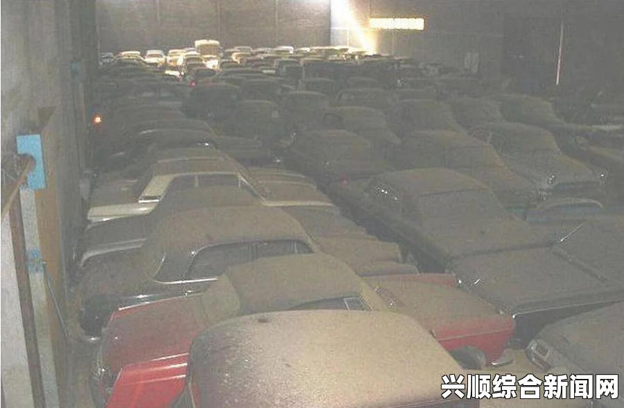 葡萄牙男子买下农场养老，仓库中发现百万英镑老爷车