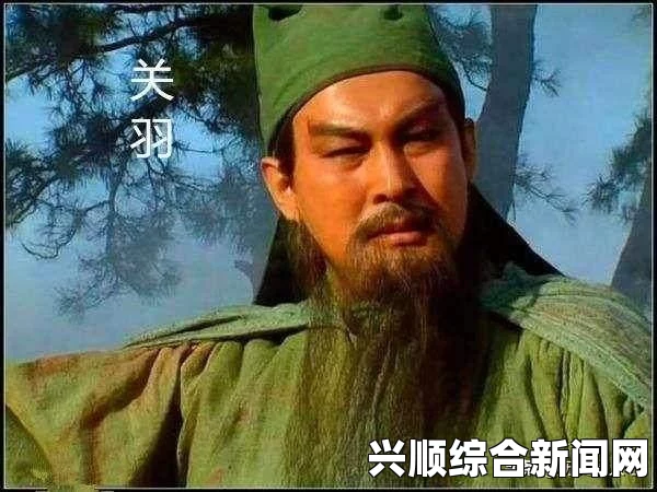 吞食孔明传，姜维角色深度解析与使用指南