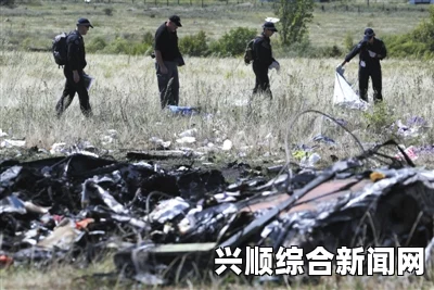 MH17坠机现场证据收集工作中断，进展与挑战并存