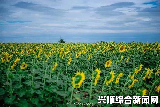 泰国针对中国游客实施三个月签证费豁免政策