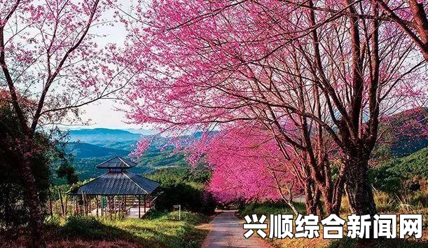 泰国最新政策，免除中国游客签证费，为期三个月