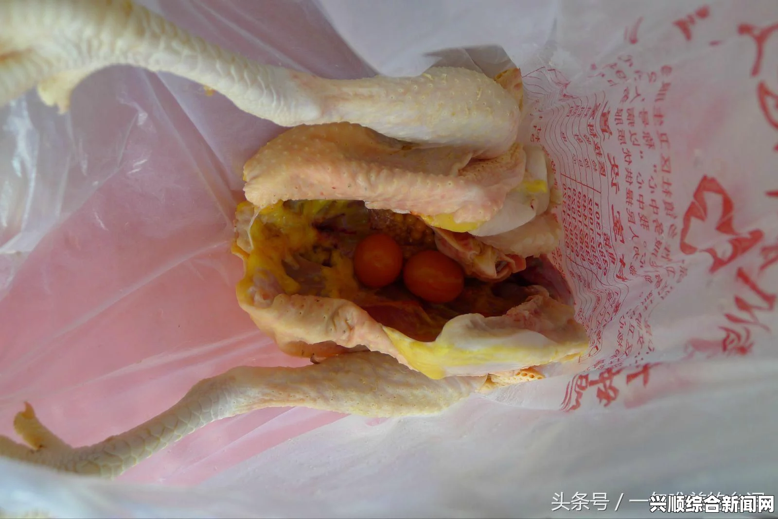 DNF亡魂母鸡秒杀暗卢克，深渊战术极致输出指南