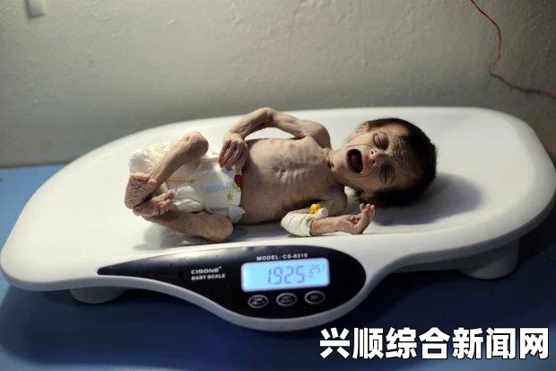 父亲带儿子深入中东难民营，体验真实世界的残酷，唤醒儿子远离网络游戏之路