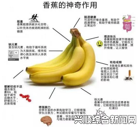 越南现超级香蕉树，一穗结出超三千个香蕉的奇迹（图）