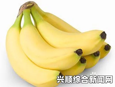 越南现超级香蕉树，一穗结出超三千个香蕉的奇迹（图）