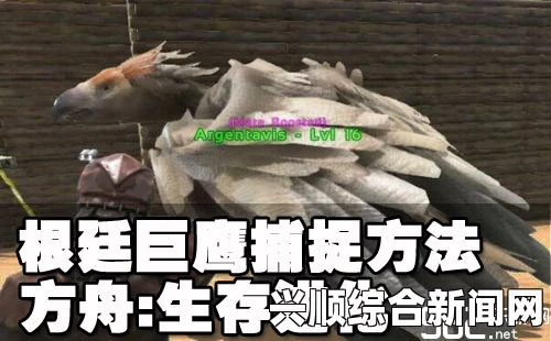方舟，生存进化 打晕巨鹰方法解析攻略