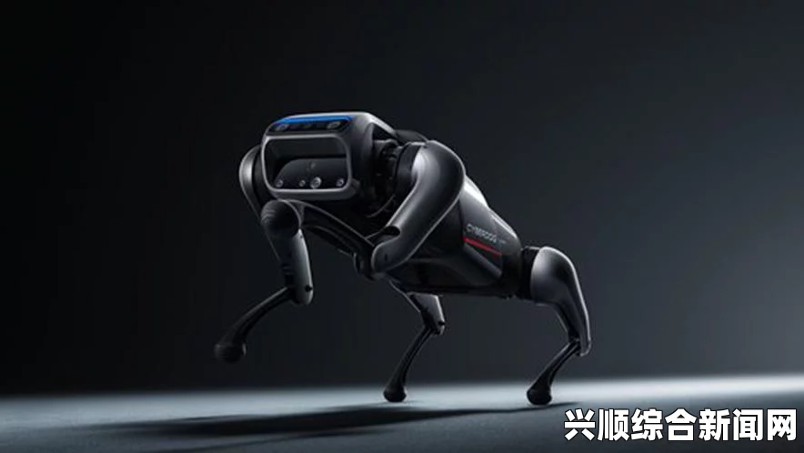 零世代狗鼻子机器人，技术革新与智能探索的前沿