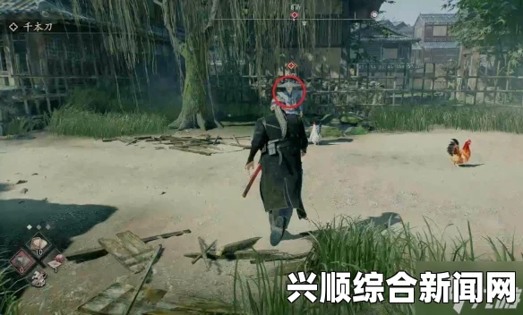 玩转浪人角色，深度攻略与心得分享