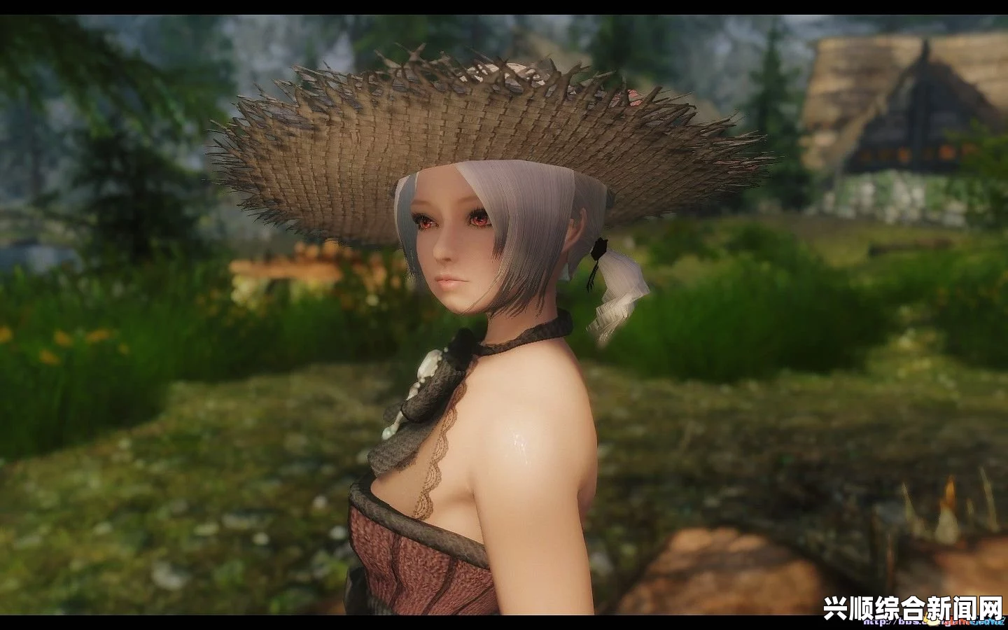 上古卷轴5，自建人物MOD之东方双马尾少女MOD下载指南