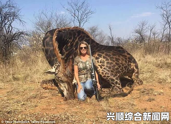 美国女子冒险遭遇长颈鹿舔脚后遭踢事件引热议