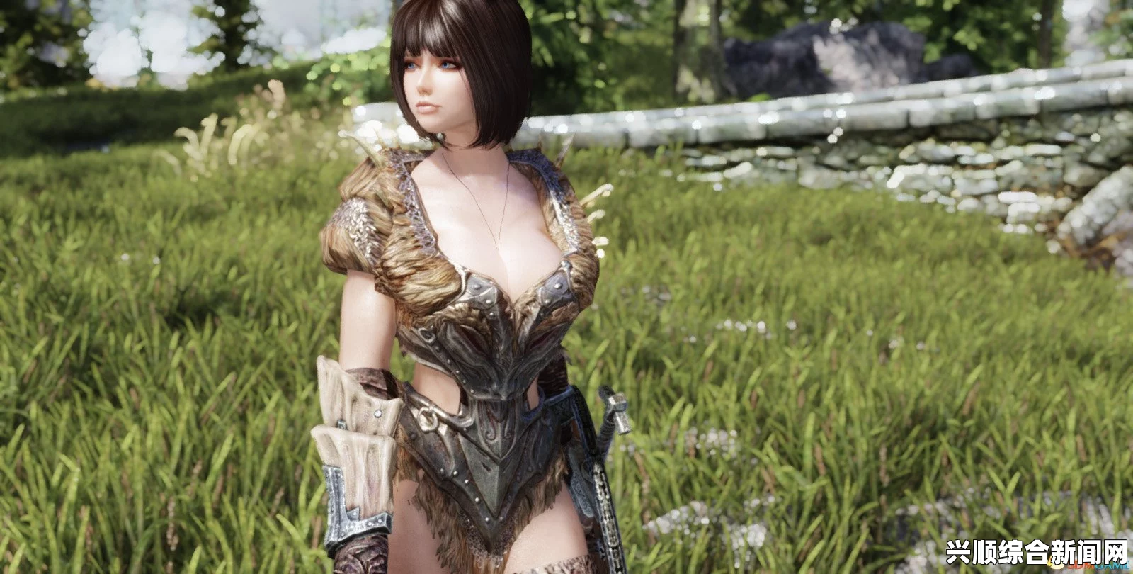 上古卷轴5，盾甲少女随从MOD温柔重置版揭秘