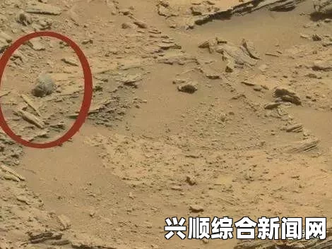 NASA好奇号火星车揭秘神秘照片，火星上疑似大腿骨形状石头的探索发现