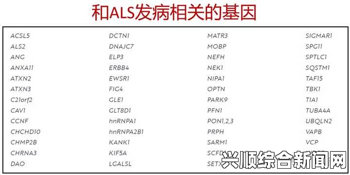 揭秘ALS病五大误解，从误解到真相的深度解读