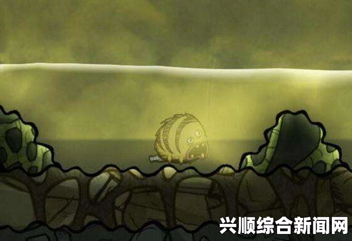 缺氧三眼鱼及哈奇的饲养技巧分享