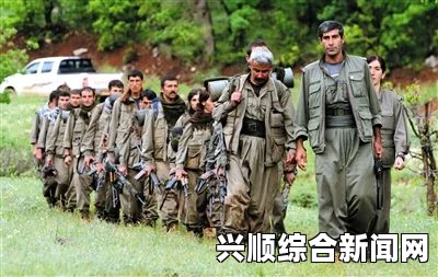 关于中国工程师在土耳其南部遭库尔德工人党绑架事件