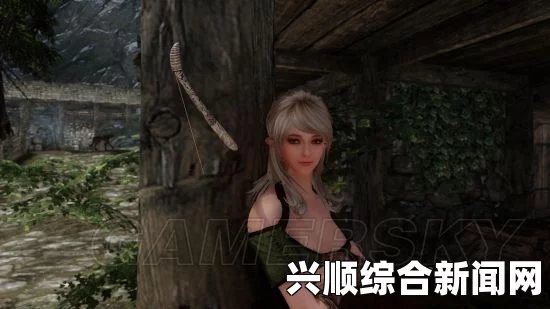 上古卷轴5，功能性MOD的深入探索—脱衣与捆绑主题