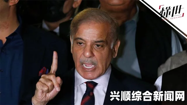 巴基斯坦反对党领导人要求总理谢里夫辞职遭拒，政治局势深度分析
