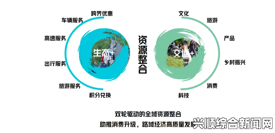 一、分流资源概述