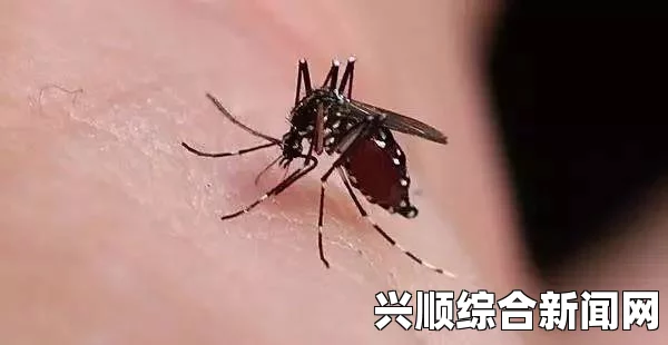 东京代代木公园蚊子携带登革热病菌引发关注，紧急采取关闭措施防疫传播