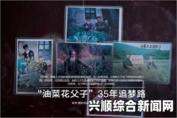 南太平洋汤加海域发生地震，震级高达6级，最新情况分析报告及后续关注重点