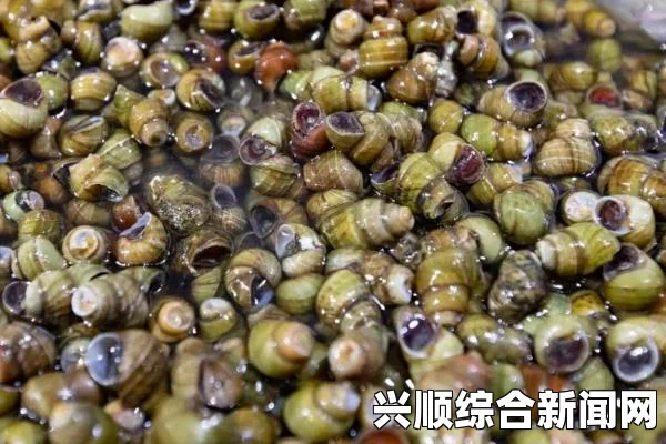 潜行田螺的分布区域探究，生态习性及栖息地揭秘