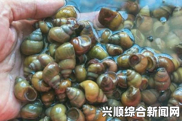 一、潜行田螺的分布区域