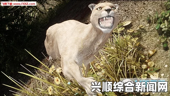 上古卷轴5，真实动物与肉食动物的探索