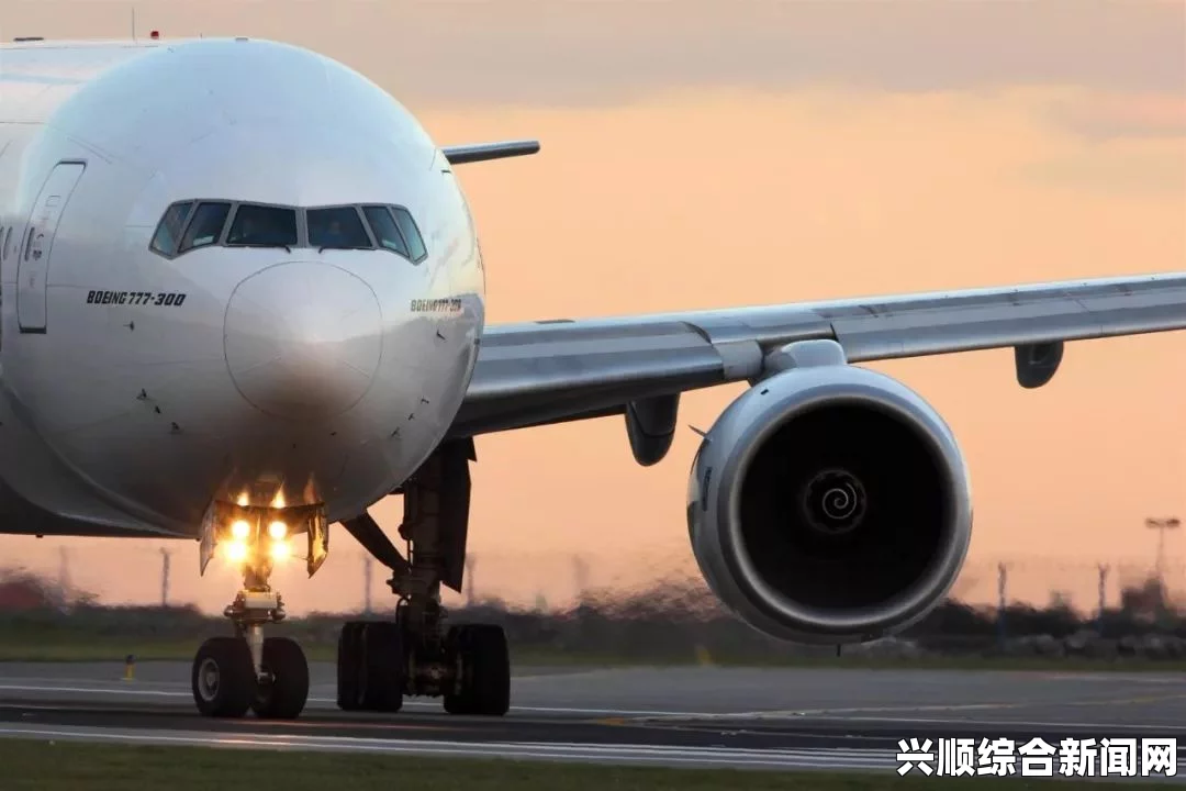 阿根廷发现史上最大巨龙类物种，长达26米，重量堪比波音737飞机