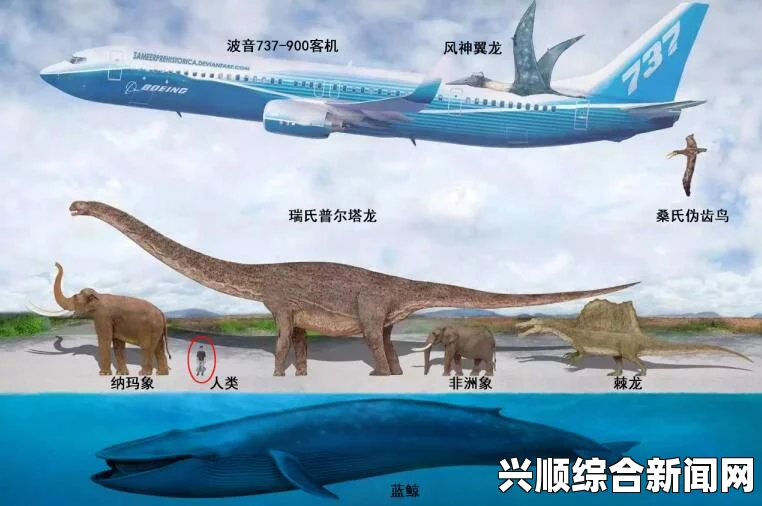 阿根廷发现史上最大巨龙类物种，长达26米，重量堪比波音737飞机