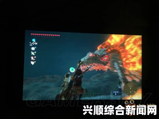 关于塞尔达费罗龙鳞片的位置