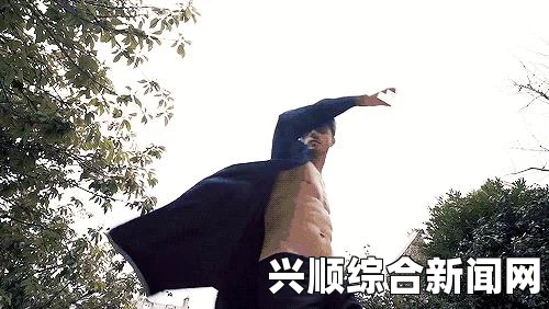 美好世界（WILL）优缺点深度解析，全面解读其特点与挑战