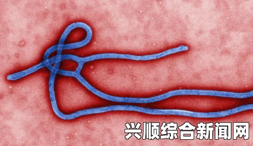 利比里亚埃博拉病毒蔓延加剧，未来数周病例数激增预警